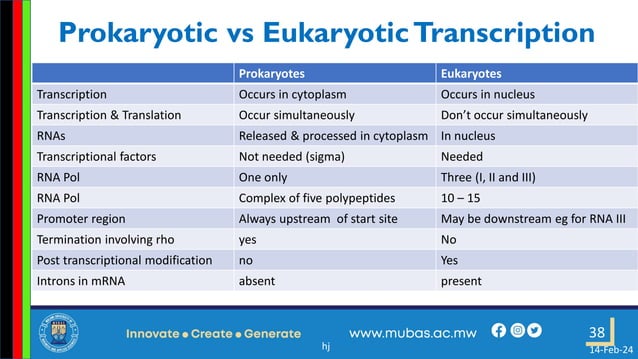 3. Transcription in Prokaryotes and Eukaryotes.pdf