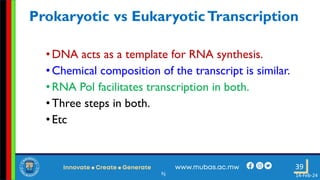 3. Transcription in Prokaryotes and Eukaryotes.pdf