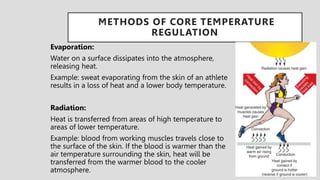 3.Environmental Emergencies 1.ppeknrvlnwvlenvltx | PPTX