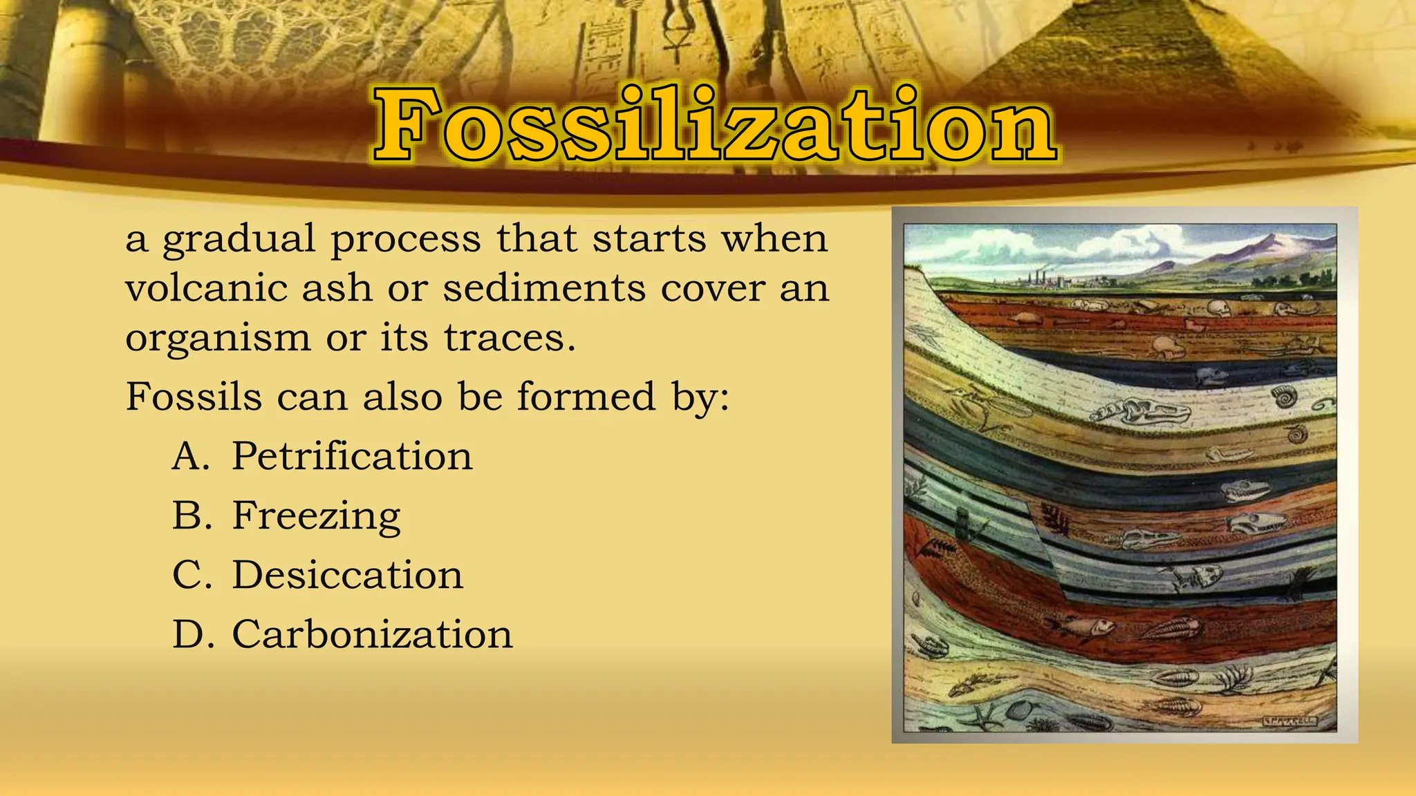 a gradual process that starts when
volcanic ash or sediments cover an
organism or its traces.
Fossils can also be formed by:
A. Petrification
B. Freezing
C. Desiccation
D. Carbonization
 