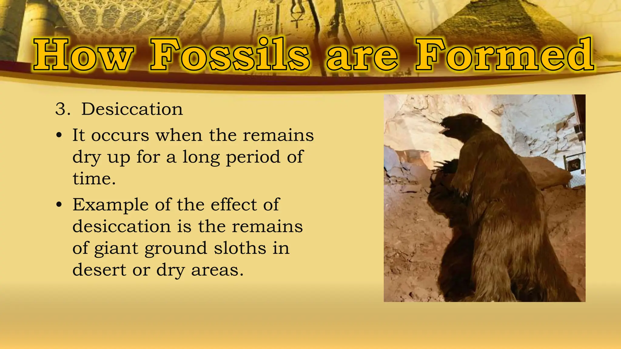 3. Desiccation
• It occurs when the remains
dry up for a long period of
time.
• Example of the effect of
desiccation is the remains
of giant ground sloths in
desert or dry areas.
 