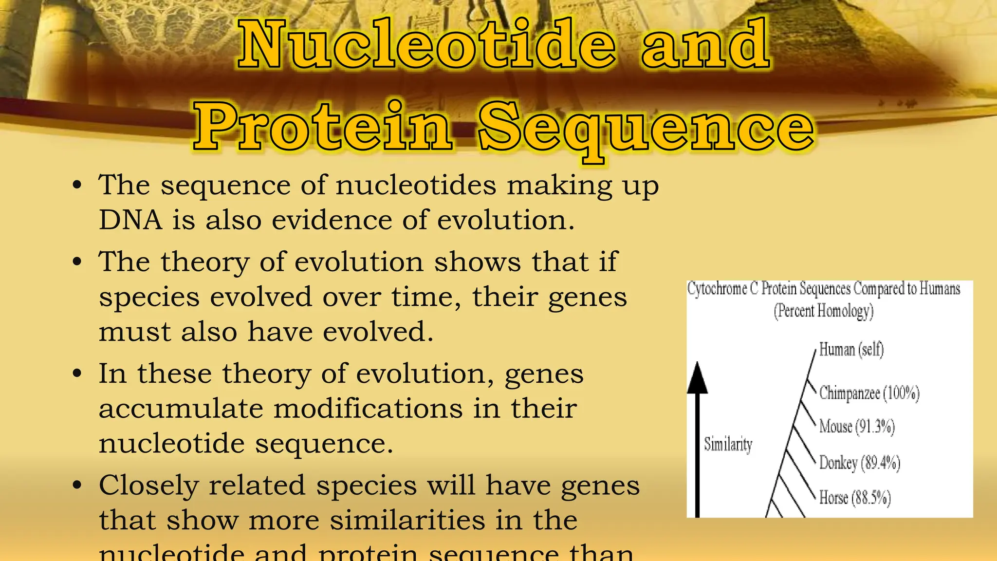 • The sequence of nucleotides making up
DNA is also evidence of evolution.
• The theory of evolution shows that if
species evolved over time, their genes
must also have evolved.
• In these theory of evolution, genes
accumulate modifications in their
nucleotide sequence.
• Closely related species will have genes
that show more similarities in the
 