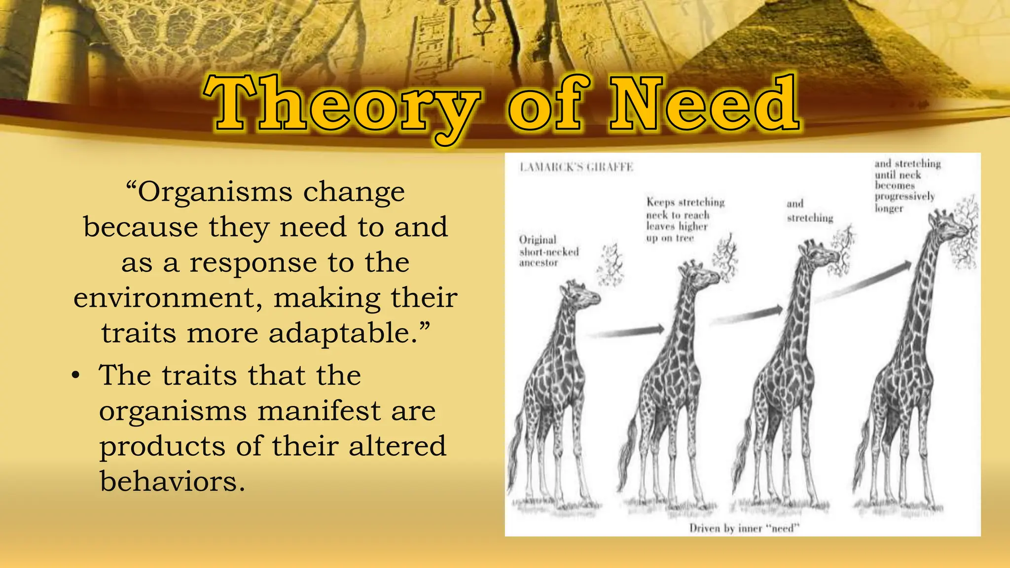 “Organisms change
because they need to and
as a response to the
environment, making their
traits more adaptable.”
• The traits that the
organisms manifest are
products of their altered
behaviors.
 