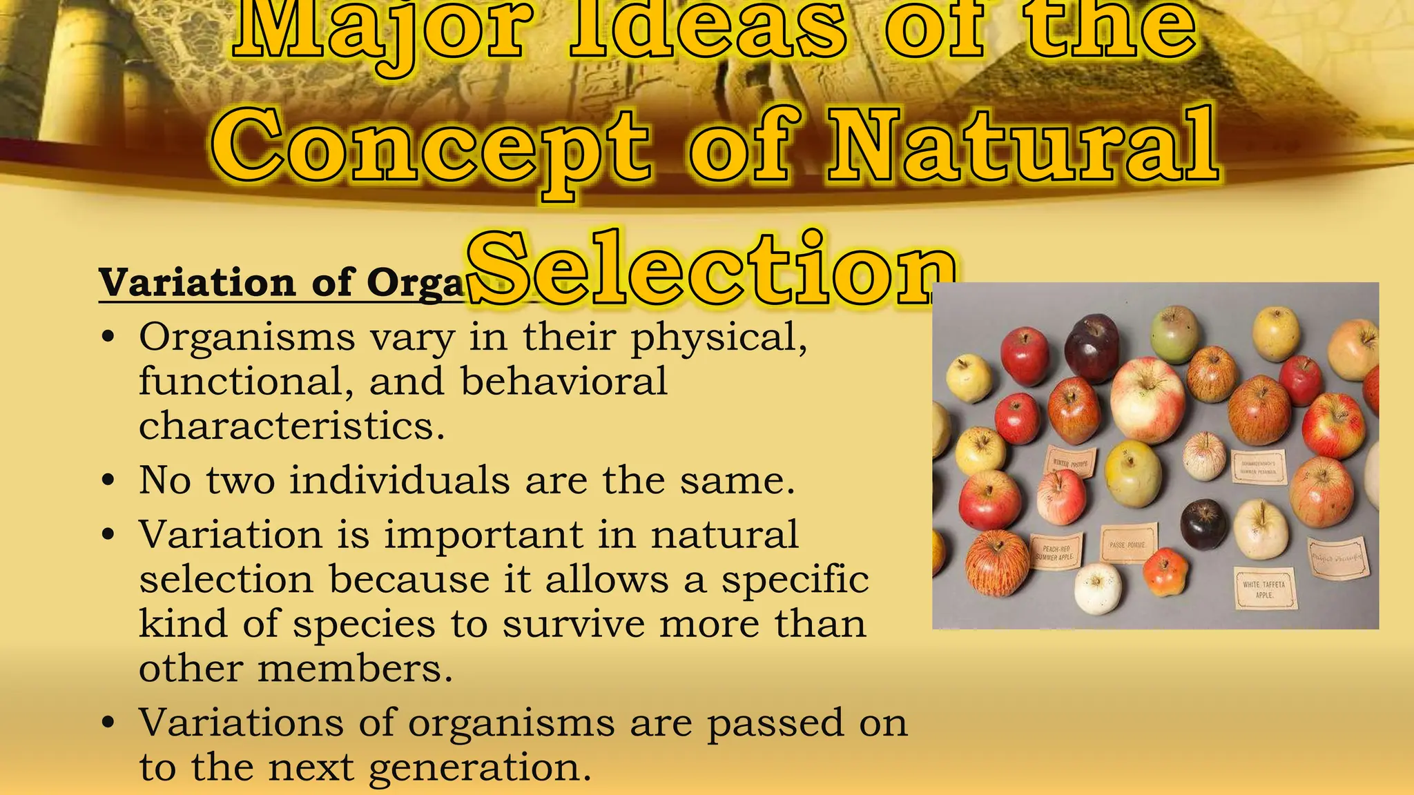 Variation of Organism
• Organisms vary in their physical,
functional, and behavioral
characteristics.
• No two individuals are the same.
• Variation is important in natural
selection because it allows a specific
kind of species to survive more than
other members.
• Variations of organisms are passed on
to the next generation.
 