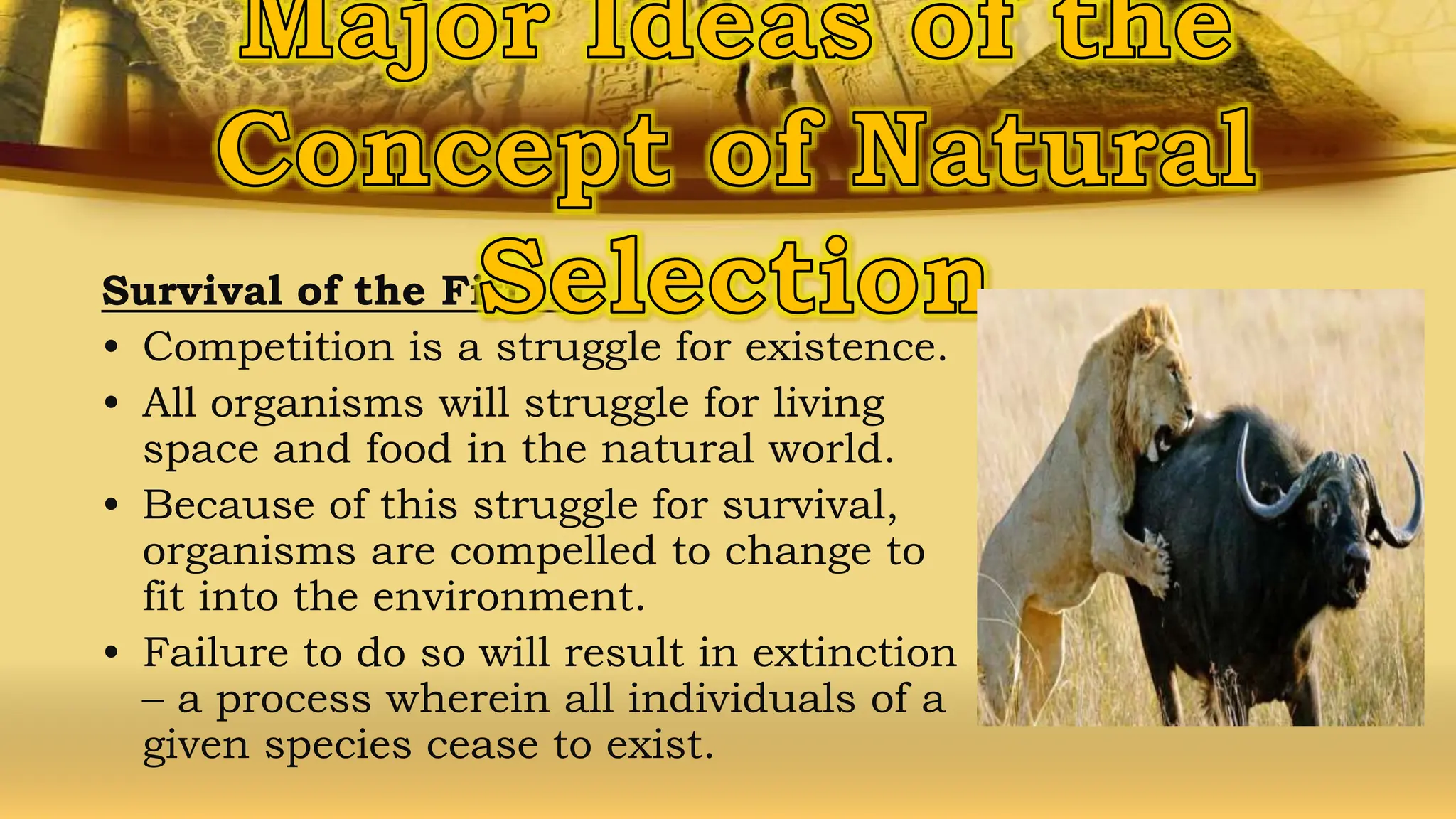 Survival of the Fittest
• Competition is a struggle for existence.
• All organisms will struggle for living
space and food in the natural world.
• Because of this struggle for survival,
organisms are compelled to change to
fit into the environment.
• Failure to do so will result in extinction
– a process wherein all individuals of a
given species cease to exist.
 
