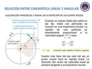 Cuando un cuerpo rígido gira sobre un
eje fijo, todas sus partículas se
mueven en una trayectoria circular. La
rapidez de una partícula es
directamente proporcional a la
velocidad angular del cuerpo
Cuanto más lejos del eje esté del eje un
punto, mayor será su rapidez lineal. La
dirección del vector de velocidad lineal es
siempre tangente a la trayectoria circular
ACELERACIÓN TANGENCIAL Y RADIAL EN LA ROTACIÓN DE UN CUERPO RÍGIDO
 