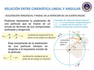 ACELERACIÓN TANGENCIAL Y RADIAL EN LA ROTACIÓN DE UN CUERPO RÍGIDO
Podemos representar la aceleración de
una partícula que se mueve en un
círculo en términos de sus componentes
centrípeta y tangencial.
Esta componente de la aceleración
de una partícula siempre es
tangente a la trayectoria circular de
la partícula.
 