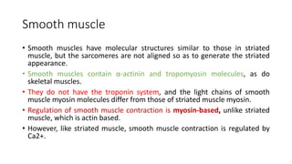 Smooth muscle
• Smooth muscles have molecular structures similar to those in striated
muscle, but the sarcomeres are not aligned so as to generate the striated
appearance.
• Smooth muscles contain α-actinin and tropomyosin molecules, as do
skeletal muscles.
• They do not have the troponin system, and the light chains of smooth
muscle myosin molecules differ from those of striated muscle myosin.
• Regulation of smooth muscle contraction is myosin-based, unlike striated
muscle, which is actin based.
• However, like striated muscle, smooth muscle contraction is regulated by
Ca2+.
 