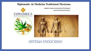 SISTEMA ENDOCRINO
Diplomado de Medicina Tradicional Mexicana.
IMPARTE: DIANA JACQUELINE SOTO RESENDIZ
NAHUI XOCHIKUAHUTEZKATL
 