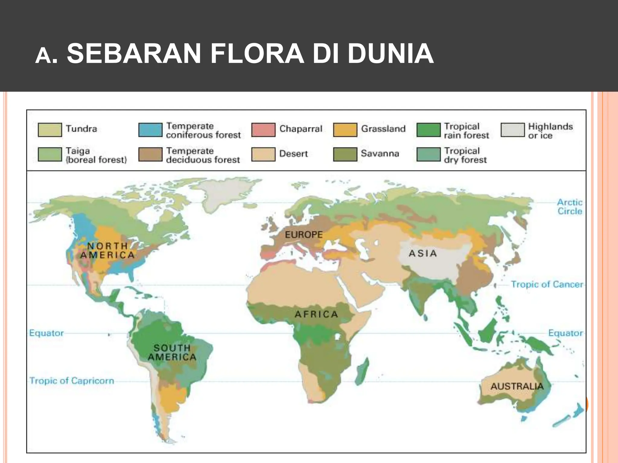 3. Sebaran Flora dan Fauna di dunia.pptx