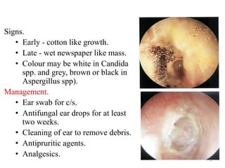 Signs.
• Early - cotton like growth.
• Late - wet newspaper like mass.
• Colour may be white in Candida
spp. and grey, brown or black in
Aspergillus spp).
Management.
• Ear swab for c/s.
• Antifungal ear drops for at least
two weeks.
• Cleaning of ear to remove debris.
• Antipruritic agents.
• Analgesics.
9
 