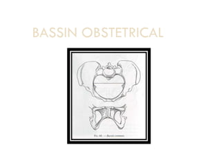 BASSIN OBSTETRICAL
 