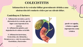 COLECISTITIS
Infamación de la vesicular billiar,generalmente debida a una
obstrucción del conducto cístico por un cálculo biliar.
Contribuyen 3 factores
Inflamación mecánica, por la
distensión de la vesícula, que da
lugar a una isquemia de la
mucosa
1.
2. inflamación química, por
degradación de solutos en la bilis
3. Inflamacion bacteriana,
Escherichia coli, Klebsiella y
Streptococcus y, entre los anaerobios,
Clostridium y Bacteroides
,
puede ser aguda,
crónica o aguda
superpuesta a una
crónica
 