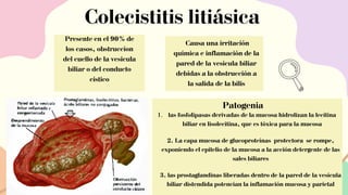 Colecistitis litiásica
Causa una irritación
química e inflamación de la
pared de la vesícula biliar
debidas a la obstrucción a
la salida de la bilis
Presente en el 90% de
los casos, obstruccion
del cuello de la vesicula
biliar o del conducto
cistico
Patogenia
las fosfolipasas derivadas de la mucosa hidrolizan la lecitina
biliar en lisolecitina, que es tóxica para la mucosa
1.
2. La capa mucosa de glucoproteínas protectora se rompe,
exponiendo el epitelio de la mucosa a la acción detergente de las
sales biliares
3. las prostaglandinas liberadas dentro de la pared de la vesícula
biliar distendida potencian la inflamación mucosa y parietal
 