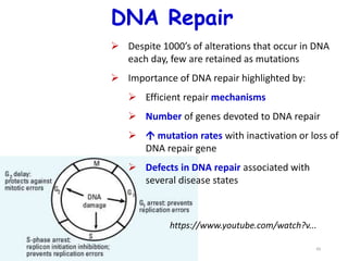 DNA Replication and DNA Repair Mechanism | PPTX