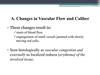 Localized Redeness 3. INFLAMMATION.pptxschoolofclinicalscie | PPTX