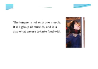 The tongue is not only one muscle.
It is a group of muscles, and it is
also what we use to taste food with.
 