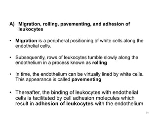 A) Migration, rolling, pavementing, and adhesion of
leukocytes
• Migration is a peripheral positioning of white cells along the
endothelial cells.
• Subsequently, rows of leukocytes tumble slowly along the
endothelium in a process known as rolling
• In time, the endothelium can be virtually lined by white cells.
This appearance is called pavementing
• Thereafter, the binding of leukocytes with endothelial
cells is facilitated by cell adhesion molecules which
result in adhesion of leukocytes with the endothelium
14
 