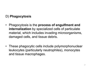 D) Phagocytosis
• Phagocytosis is the process of engulfment and
internalization by specialized cells of particulate
material, which includes invading microorganisms,
damaged cells, and tissue debris.
• These phagocytic cells include polymorphonuclear
leukocytes (particularly neutrophiles), monocytes
and tissue macrophages.
17
 