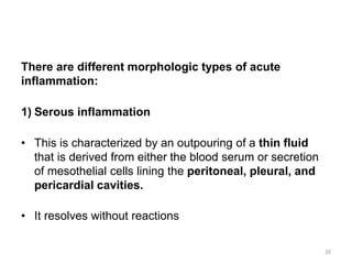 There are different morphologic types of acute
inflammation:
1) Serous inflammation
• This is characterized by an outpouring of a thin fluid
that is derived from either the blood serum or secretion
of mesothelial cells lining the peritoneal, pleural, and
pericardial cavities.
• It resolves without reactions
20
 