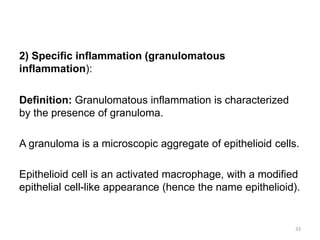 2) Specific inflammation (granulomatous
inflammation):
Definition: Granulomatous inflammation is characterized
by the presence of granuloma.
A granuloma is a microscopic aggregate of epithelioid cells.
Epithelioid cell is an activated macrophage, with a modified
epithelial cell-like appearance (hence the name epithelioid).
33
 