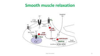 3. Calcium role in muscle contraction. Biochemistry | PPTX