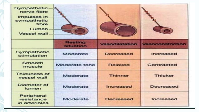 3.1 peads THE CARDIOVASCULAR SYSTEM.pptx