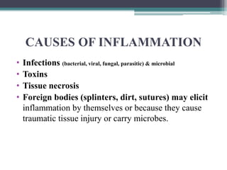 Splinter Inflamed 3. INFLAMMATION.pptxschoolofclinicalscie | PPTX