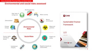 How to Mitigate Transition and Physical Risks in the Financial Sector | PDF