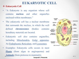 EUKARYOTIC CELL
❖ Eukaryotic Cell
• “A Eukaryote is any organism whose cell
contains nucleus and other organelles
enclosed within membranes.”
• The eukaryotic cell has a nuclear membrane
that surrounds the nucleus, in which the well
defined chromosomes (bodies contains
hereditary material) are located.
• Eukaryotic cell also contains organelles,
including Mitochondria, Golgi apparatus,
An Endoplasmic Reticulum, and Lysosomes.
• Examples: Eukaryotic cells occurs in most
Plants (from algae to angiosperms) and
Animals (from protozoa to mammals). 10
Swapnali S. Pharande
 