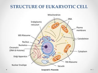 STRUCTURE OF EUKARYOTIC CELL
11
Swapnali S. Pharande
 