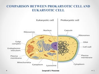 COMPARISON BETWEEN PROKARYOTIC CELLAND
EUKARYOTIC CELL
13
Swapnali S. Pharande
 