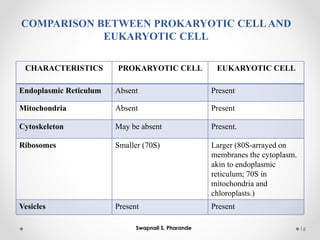 CHARACTERISTICS PROKARYOTIC CELL EUKARYOTIC CELL
Endoplasmic Reticulum Absent Present
Mitochondria Absent Present
Cytoskeleton May be absent Present.
Ribosomes Smaller (70S) Larger (80S-arrayed on
membranes the cytoplasm.
akin to endoplasmic
reticulum; 70S in
mitochondria and
chloroplasts.)
Vesicles Present Present
16
Swapnali S. Pharande
COMPARISON BETWEEN PROKARYOTIC CELLAND
EUKARYOTIC CELL
 