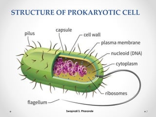 STRUCTURE OF PROKARYOTIC CELL
7
Swapnali S. Pharande
 