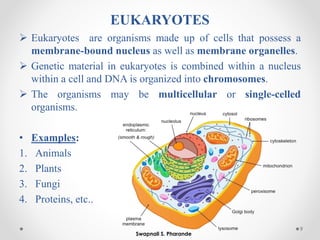 EUKARYOTES
➢ Eukaryotes are organisms made up of cells that possess a
membrane-bound nucleus as well as membrane organelles.
➢ Genetic material in eukaryotes is combined within a nucleus
within a cell and DNA is organized into chromosomes.
➢ The organisms may be multicellular or single-celled
organisms.
• Examples:
1. Animals
2. Plants
3. Fungi
4. Proteins, etc..
9
Swapnali S. Pharande
 