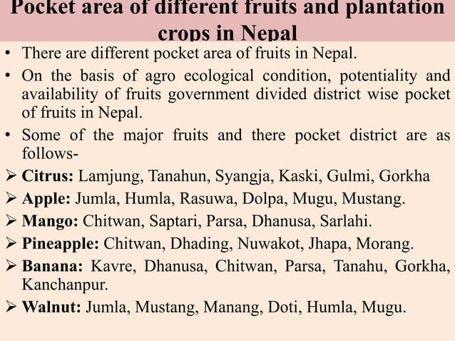 3.Pocket area of different fruits and plantation crop in nepal.pptx