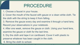 1. Choose a faucet in your house.
2. Cover the mouth of the faucet with gauze or a clean white cloth. Tie
the cloth with the string to keep it from falling.
3. Remove the gauze every day and examine it through a hand lens.
Record your observations in your notebook.
4. After one week, remove the gauze or cloth. Using your hand lens,
examine the gauze or cloth for the last time.
5. Dry the cloth and tape it on cardboard. Cover it with plastic to
preserve whatever has been caught in the cloth.
6. Bring the cloth to school.
PROCEDURE
 
