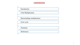 CONTENTS
2
Bacteriophage multiplication
Lytic cycle
Summary
References
Introduction
Viral Multiplication
 