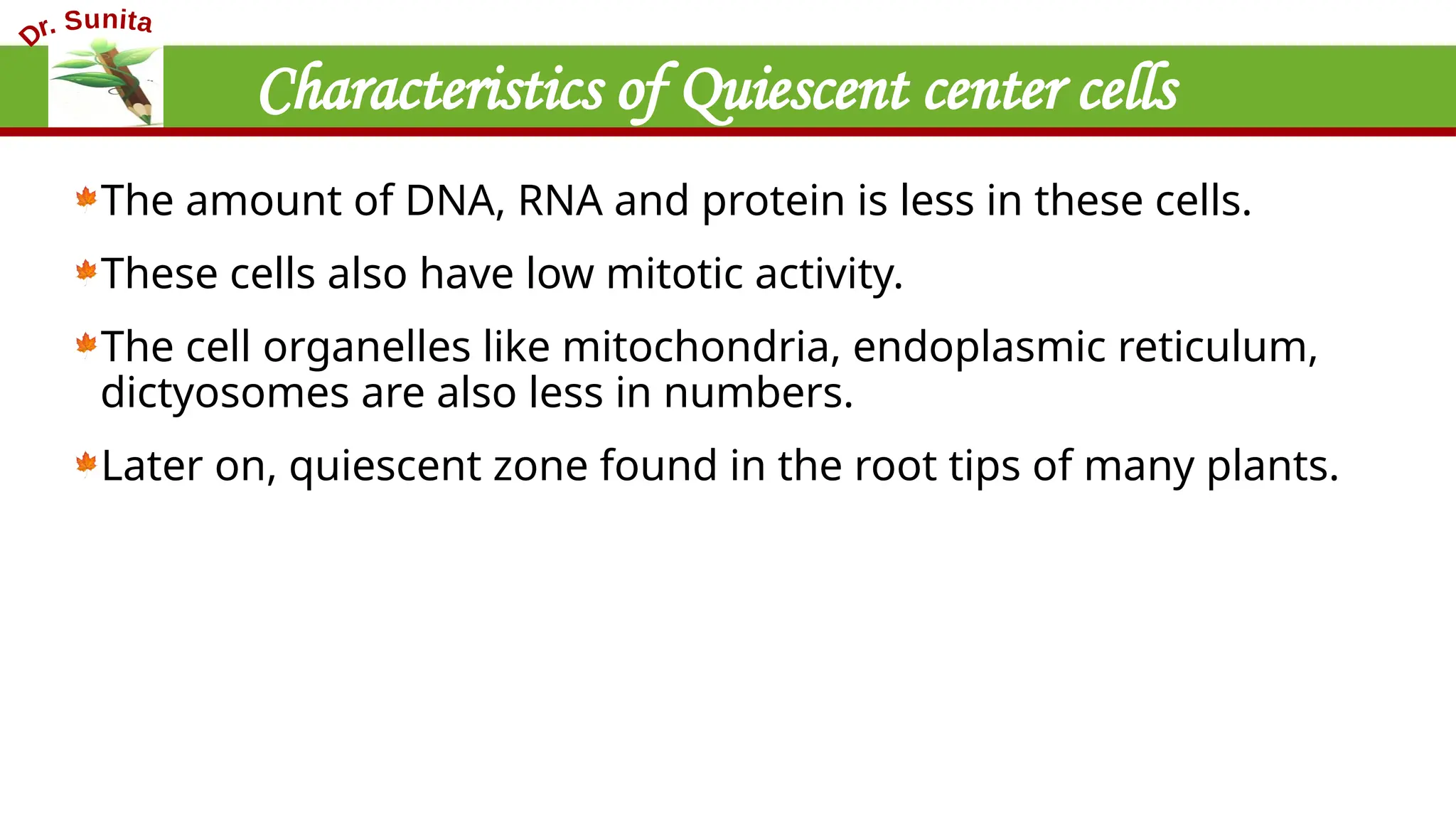 Characteristics of Quiescent center cells
The amount of DNA, RNA and protein is less in these cells.
These cells also have low mitotic activity.
The cell organelles like mitochondria, endoplasmic reticulum,
dictyosomes are also less in numbers.
Later on, quiescent zone found in the root tips of many plants.
 