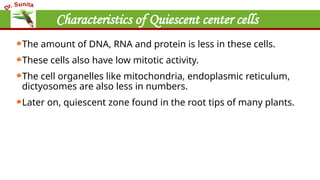 Characteristics of Quiescent center cells
The amount of DNA, RNA and protein is less in these cells.
These cells also have low mitotic activity.
The cell organelles like mitochondria, endoplasmic reticulum,
dictyosomes are also less in numbers.
Later on, quiescent zone found in the root tips of many plants.
 