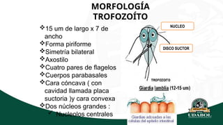 3. GIARDIASIS ENFERMEDAD QUE AFECTA A TODAS LAS PERSONALS | PPTX
