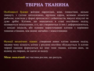 ТВІРНА ТКАНИНА
Особливості будови: клітини паренхімні, живі, тонкостінні, щільно
зімкнуті, з густою цитоплазмою, крупним ядром, великою кількістю
рибосом; пластиди у формі пропластид і лейкопластів, вакуолі відсутні чи
дуже дрібні. Клітини, що знаходяться в стані постійного поділу,
називаються ініціальними, а ті, що утворюються із них і диференціюються,
похідні ініціалів, або основна меристемаживі клітини з порівняно
‒
тонкими стінками, між якими звичайно є міжклітинники
Функції механічних тканин: утворення нових клітин шляхом поділу,
завдяки чому кількість клітин у рослини постійно збільшується. Із клітин
твірної тканини формуються всі інші типи тканин, клітини яких, на
відміну від твірних, не здатні до поділу.
Місце локалізації: всі частини рослин, що ростуть.
 