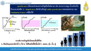 ครูวิชัยลิขิตพรรักษ์ ตาแหน่งครู วิทยฐานะครูชานาญการพิเศษ(คศ.3)กลุ่มสาระการเรียนรู้วิทยาศาสตร์และเทคโนโลยี โรงเรียนวัดราชบพิธ สพม.กท.1
สถาบันส่งเสริมการสอนวิทยาศาสตร์และเทคโนโลยี
growth curve เป็นแบบจาลองการเจริญเติบโตต่อเวลา เช่น ขนาด ความสูง น้าหนักหรือ
ชีวมวล แบ่งเป็น S – shaped curve สัตว์ส่วนใหญ่ Ladder growth chart แมลงลอกคราบ และ
Continuous S-curve วงปีต้นไม้
 