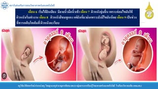 ครูวิชัยลิขิตพรรักษ์ ตาแหน่งครู วิทยฐานะครูชานาญการพิเศษ(คศ.3)กลุ่มสาระการเรียนรู้วิทยาศาสตร์และเทคโนโลยี โรงเรียนวัดราชบพิธ สพม.กท.1
สถาบันส่งเสริมการสอนวิทยาศาสตร์และเทคโนโลยี
เดือน 6 เริ่มได้ยินเสียง มีลายนิ้วมือนิ้วเท้า เดือน 7 ผิวหนังชุ่มชื่น เพราะต่อมไขมันใต้
ผิวหนังเริ่มทางาน เดือน 8 ผิวหนังสีชมพูแดง แต่ยังเหี่ยวย่นเพราะยังมีไขมันน้อย เดือน 9 เป็นช่วง
ที่ทารกเติบโตเต็มที่ ผิวหนังจะเรียบ
 