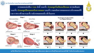 ครูวิชัยลิขิตพรรักษ์ ตาแหน่งครู วิทยฐานะครูชานาญการพิเศษ(คศ.3)กลุ่มสาระการเรียนรู้วิทยาศาสตร์และเทคโนโลยี โรงเรียนวัดราชบพิธ สพม.กท.1
สถาบันส่งเสริมการสอนวิทยาศาสตร์และเทคโนโลยี
การคลอดแบ่งเป็น 4 ระยะ ดังนี้ ระยะที่ 1 ปากมดลูกเริ่มเปิดจนเปิดหมด10 เซนติเมตร
ระยะที่ 2 ปากมดลูกเปิดหมดจนถึงทารกคลอดระยะที่ 3 ภายหลังทารกคลอดจนกระทั่งรกคลอดใช้
เวลา 5-30 นาที และระยะที่ 4 หลังรกคลอดจนถึง 2ชั่วโมงแรก
 