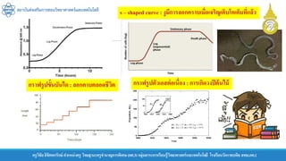 ครูวิชัยลิขิตพรรักษ์ ตาแหน่งครู วิทยฐานะครูชานาญการพิเศษ(คศ.3)กลุ่มสาระการเรียนรู้วิทยาศาสตร์และเทคโนโลยี โรงเรียนวัดราชบพิธ สพม.กท.1
สถาบันส่งเสริมการสอนวิทยาศาสตร์และเทคโนโลยี
s – shaped curve : งูมีการลอกคราบเมื่อเจริญเติบโตเต็มที่แล้ว
กราฟรูปตัวเอสต่อเนื่อง : การเกิดวงปีต้นไม้
กราฟรูปขั้นบันได : ลอกคาบตลอดชีวิต
 