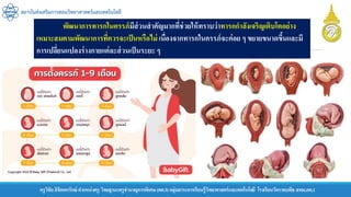 ครูวิชัยลิขิตพรรักษ์ ตาแหน่งครู วิทยฐานะครูชานาญการพิเศษ(คศ.3)กลุ่มสาระการเรียนรู้วิทยาศาสตร์และเทคโนโลยี โรงเรียนวัดราชบพิธ สพม.กท.1
สถาบันส่งเสริมการสอนวิทยาศาสตร์และเทคโนโลยี
พัฒนาการทารกในครรภ์มีส่วนสาคัญมากที่ช่วยให้ทราบว่าทารกกาลังเจริญเติบโตอย่าง
เหมาะสมตามพัฒนาการที่ควรจะเป็นหรือไม่ เนื่องจากทารกในครรภ์จะค่อย ๆ ขยายขนาดขึ้นและมี
การเปลี่ยนแปลงร่างกายแต่ละส่วนเป็นระยะ ๆ
 