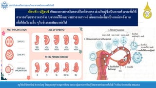 ครูวิชัยลิขิตพรรักษ์ ตาแหน่งครู วิทยฐานะครูชานาญการพิเศษ(คศ.3)กลุ่มสาระการเรียนรู้วิทยาศาสตร์และเทคโนโลยี โรงเรียนวัดราชบพิธ สพม.กท.1
สถาบันส่งเสริมการสอนวิทยาศาสตร์และเทคโนโลยี
เดือนที่ 1 ปฏิสนธิ พัฒนาการทารกในครรภ์ในเดือนแรก ส่วนใหญ่จึงเป็นการสร้างรกเพื่อให้
สามารถรับสารอาหารต่างๆ จากแม่ได้ และนาสารอาหารเหล่านั้นมาหล่อเลี้ยงเป็นแหล่งพลังงาน
เพื่อให้อวัยวะอื่น ๆ ในร่างกายพัฒนาต่อไป
 