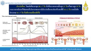 ครูวิชัยลิขิตพรรักษ์ ตาแหน่งครู วิทยฐานะครูชานาญการพิเศษ(คศ.3)กลุ่มสาระการเรียนรู้วิทยาศาสตร์และเทคโนโลยี โรงเรียนวัดราชบพิธ สพม.กท.1
สถาบันส่งเสริมการสอนวิทยาศาสตร์และเทคโนโลยี
ประจาเดือน โดยปกติจะมาทุก28 ± 7 วัน นั่นคือบางคนอาจสั้นทุก 21 วันหรือยาวสุด 35 วัน
ระยะเวลาหลังจากไข่ตกจนถึงวันแรกของการมีประจาเดือนจะค่อนข้างคงที่ที่ 14 ± 2 วัน จากนั้นอีก
ประมาณ 14 ± 7 วัน เริ่มต้นรอบเดือนถัดไป
 