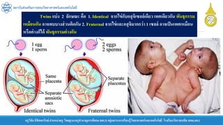 ครูวิชัยลิขิตพรรักษ์ ตาแหน่งครู วิทยฐานะครูชานาญการพิเศษ(คศ.3)กลุ่มสาระการเรียนรู้วิทยาศาสตร์และเทคโนโลยี โรงเรียนวัดราชบพิธ สพม.กท.1
สถาบันส่งเสริมการสอนวิทยาศาสตร์และเทคโนโลยี
Twins แบ่ง 2 ลักษณะ คือ 1. Identical จากไข่กับอสุจิเซลล์เดียว เพศเดียวกัน พันธุกรรม
เหมือนกัน อาจพบบางส่วนติดกัน 2. Fraternal จากไข่และอสุจิมากกว่า 1 เซลล์ อาจเป็นเพศเหมือน
หรือต่างก็ได้ พันธุกรรมต่างกัน
 